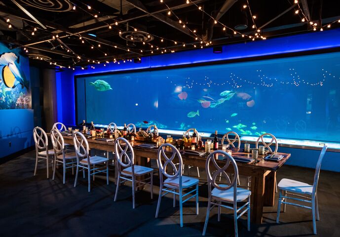 Adventure Aquarium Events Catering Reception  Venues  