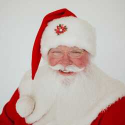 Santa Joe - Real Bearded Professional Santa, profile image