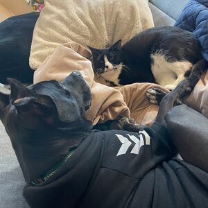 Gallery Photo 20