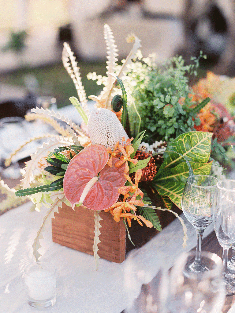 orchid and fern tropical centerpiece