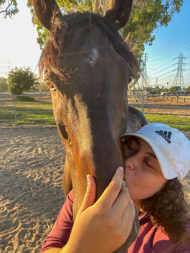 Julia moved Reddington, her beloved Ex Racehorse, to Lakewood Equestrian Center.