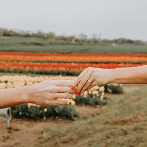 Gallery Photo 26