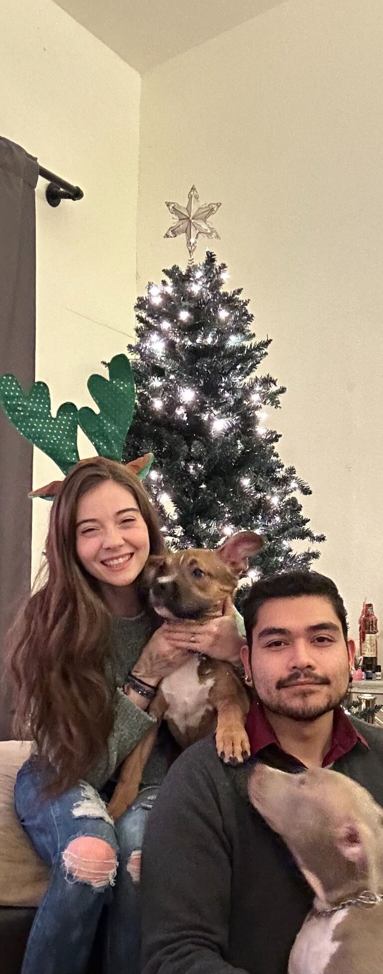 Christmas Together with Our New Pups, Hoagie & Rhye.
