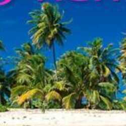 Island Breeze Party Rentals, profile image