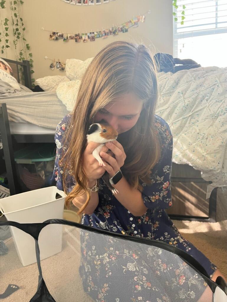 They adopt Hiccup and Bugsy!