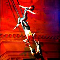 Cirque-tacular - Detroit - Themed & Circus Events, profile image