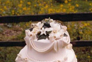 Wedding Cake Bakeries in Oakley, CA - The Knot