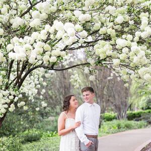 Gallery Photo 53