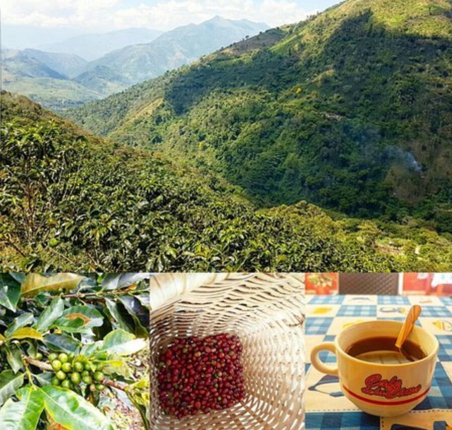 Culture and tradition, two words that represent Colombian coffee worldwide. In this tour you will live, feel and experiment step by step what is behind each cup of coffee. Using the history, classification, recollection, and a tasting of Colombian coffee, you will have a unique experience of why the country prides itself in its coffee. 