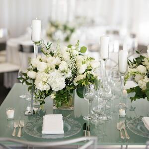 Gallery Photo 339