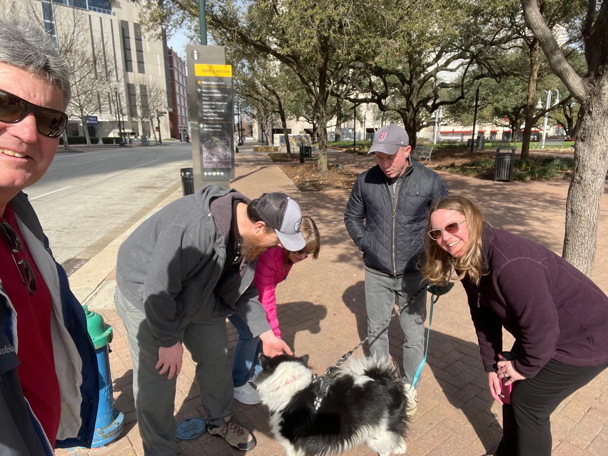 Scavenger Hunt - Meet a dog