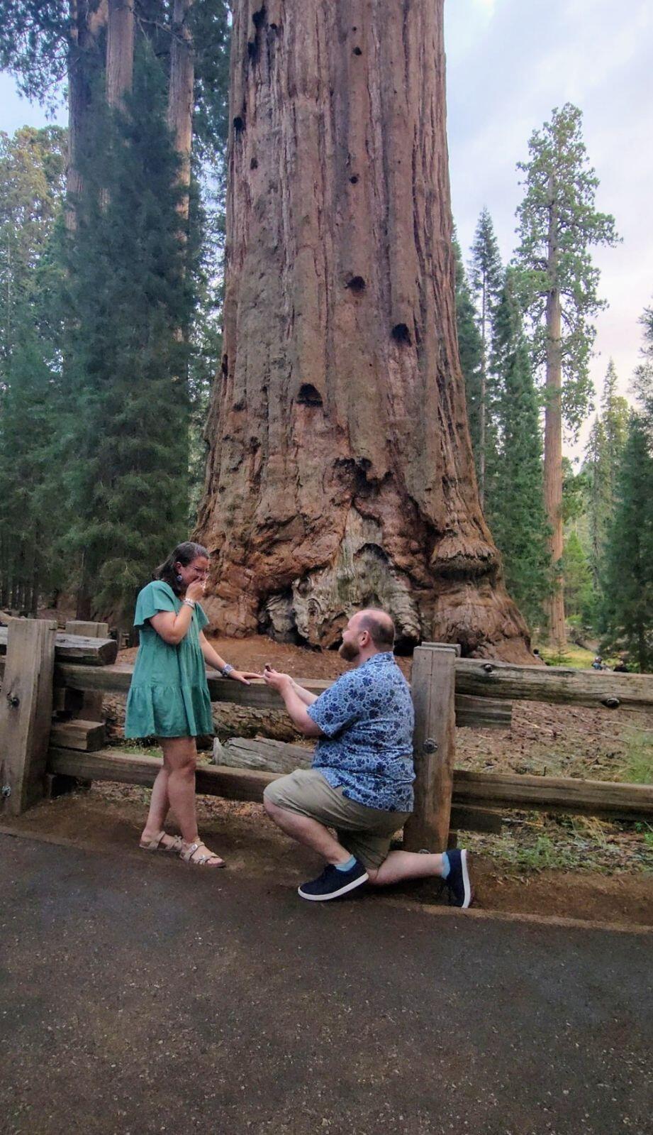Visiting Sequoia National Park on a drizzly evening where our engagement proposal took place.  