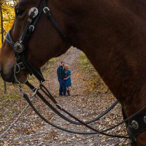 Gallery Photo 41