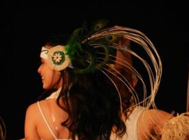 Hokule'a Academy of Polynesian Arts - Hula Dancer - Chicago, IL - Hero Gallery 2