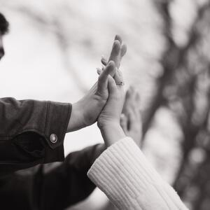 Gallery Photo 24