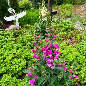 Gallery Photo 29