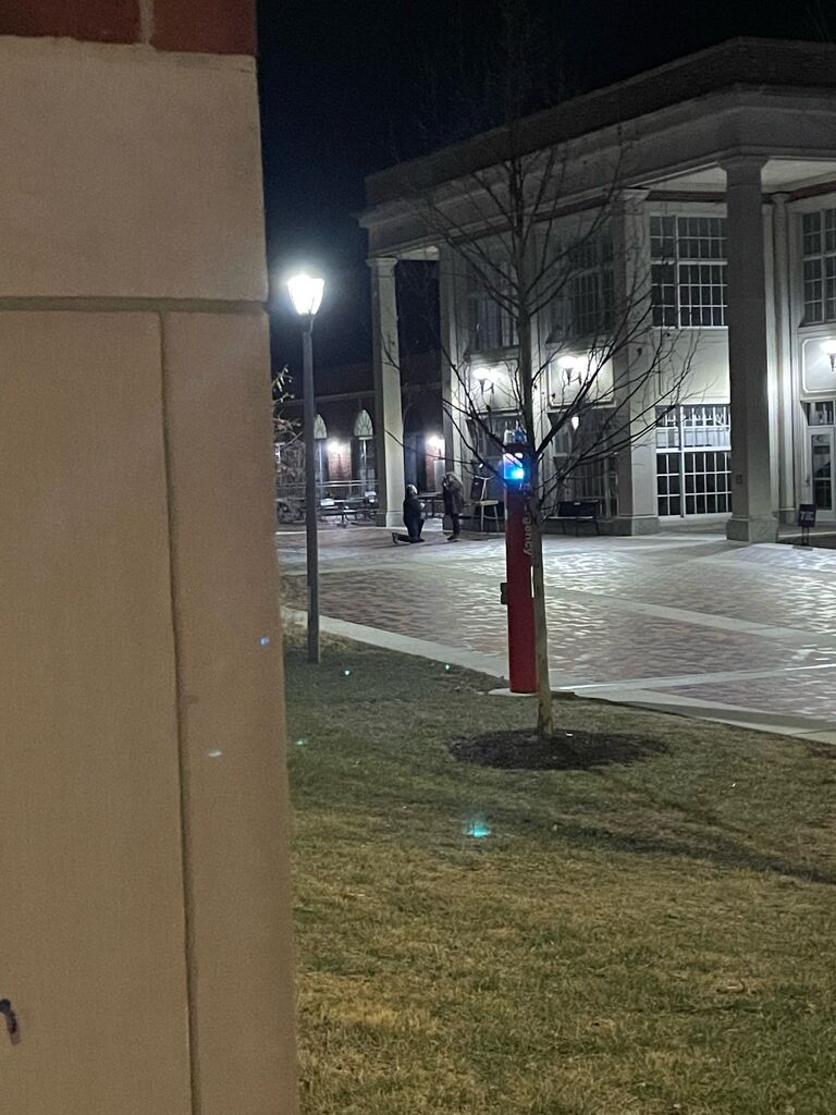 Sam popping the question! Sammi's sisters hid behind the pillars of the library to snap this pic! 