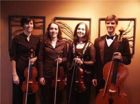 Perfect Harmony String Ensemble - String Quartet - Washington, DC - Hero Gallery 2