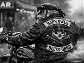 Barn Owls Blues Band - Blues Band - Temecula, CA - Hero Gallery 3