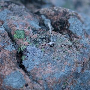 Gallery Photo 27