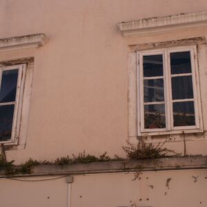 Gallery Photo 187
