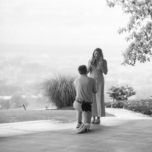 Gallery Photo 8