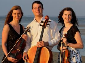 Coastal Chamber Musicians - String Quartet - Charleston, SC - Hero Gallery 1