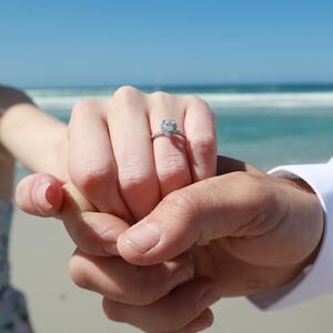 Gallery Photo 1