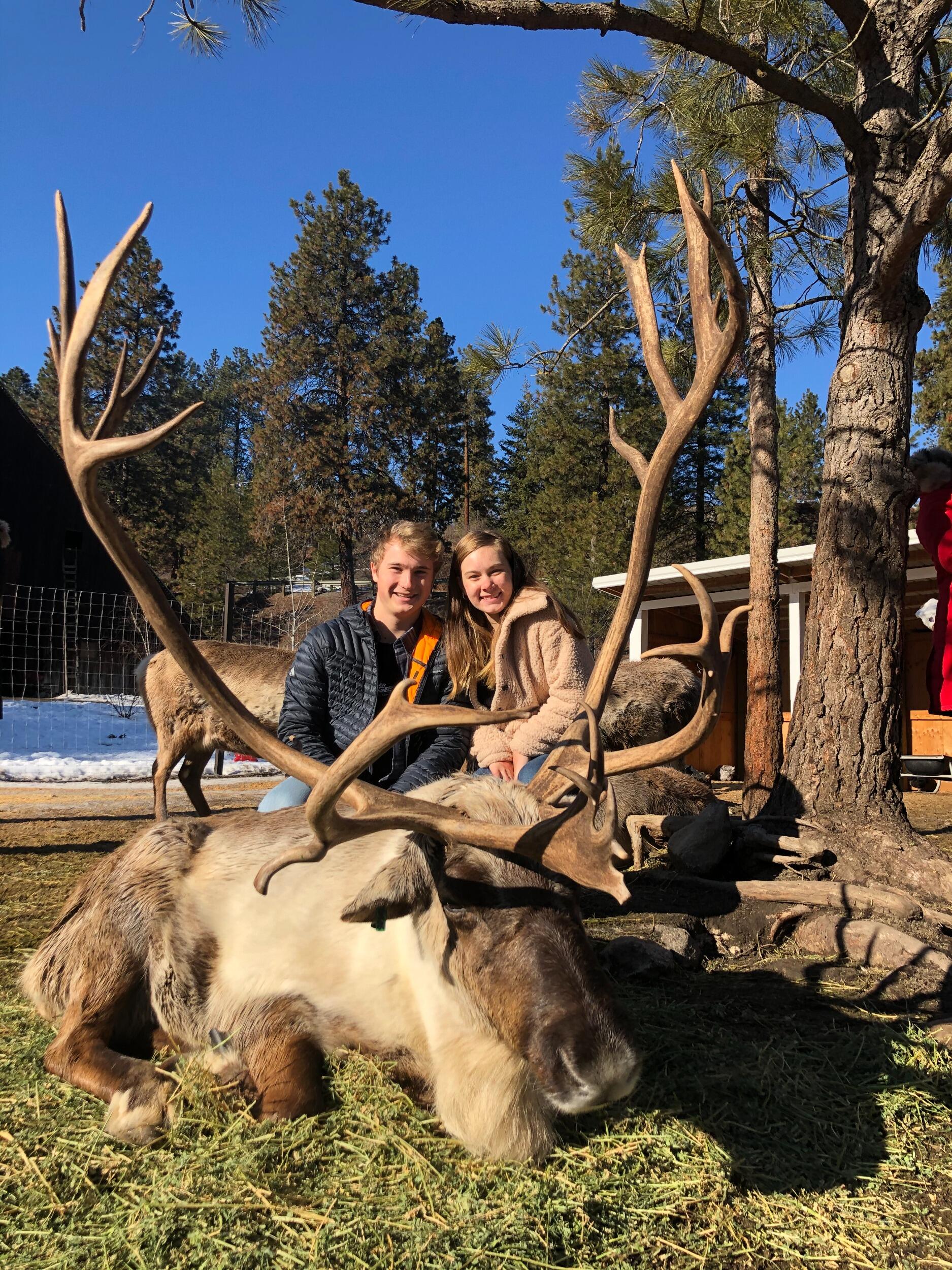 We visited the Reindeer farm just before COVID closures. 