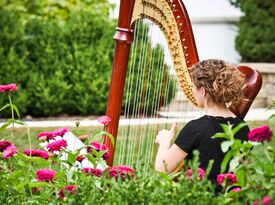 Brittany Smith - Harpist - Barrington, IL - Hero Gallery 3