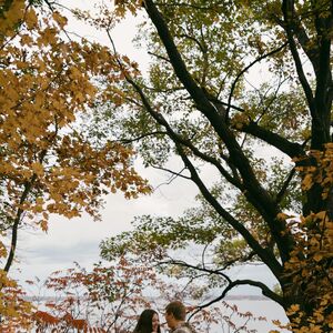 Gallery Photo 9