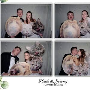 Gallery Photo 41