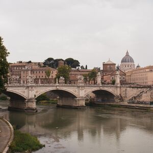 Gallery Photo 241