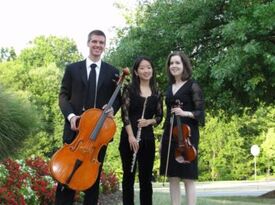 Perfect Harmony String Ensemble - String Quartet - Washington, DC - Hero Gallery 3