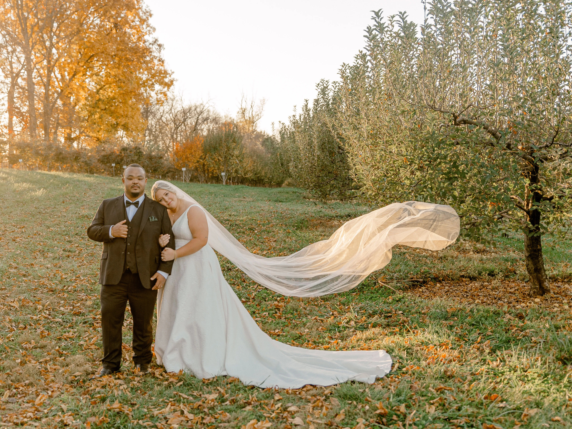 Bride and groom's wedding portraits in Virginia, how to get married in Virginia