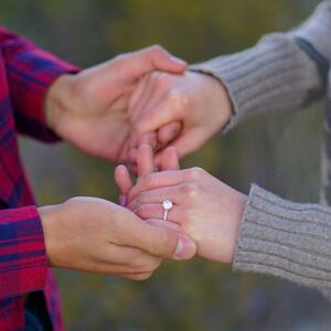 Gallery Photo 41