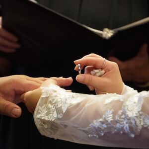 Gallery Photo 10