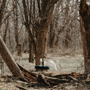 Gallery Photo 58