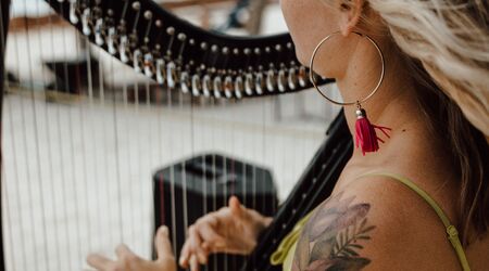 Adrienne Knauer Harpist | Ensembles & Soloists - The Knot