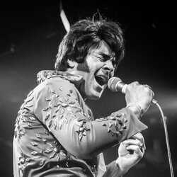 Robbie Dee's Tribute to Elvis - Hire Elvis, profile image