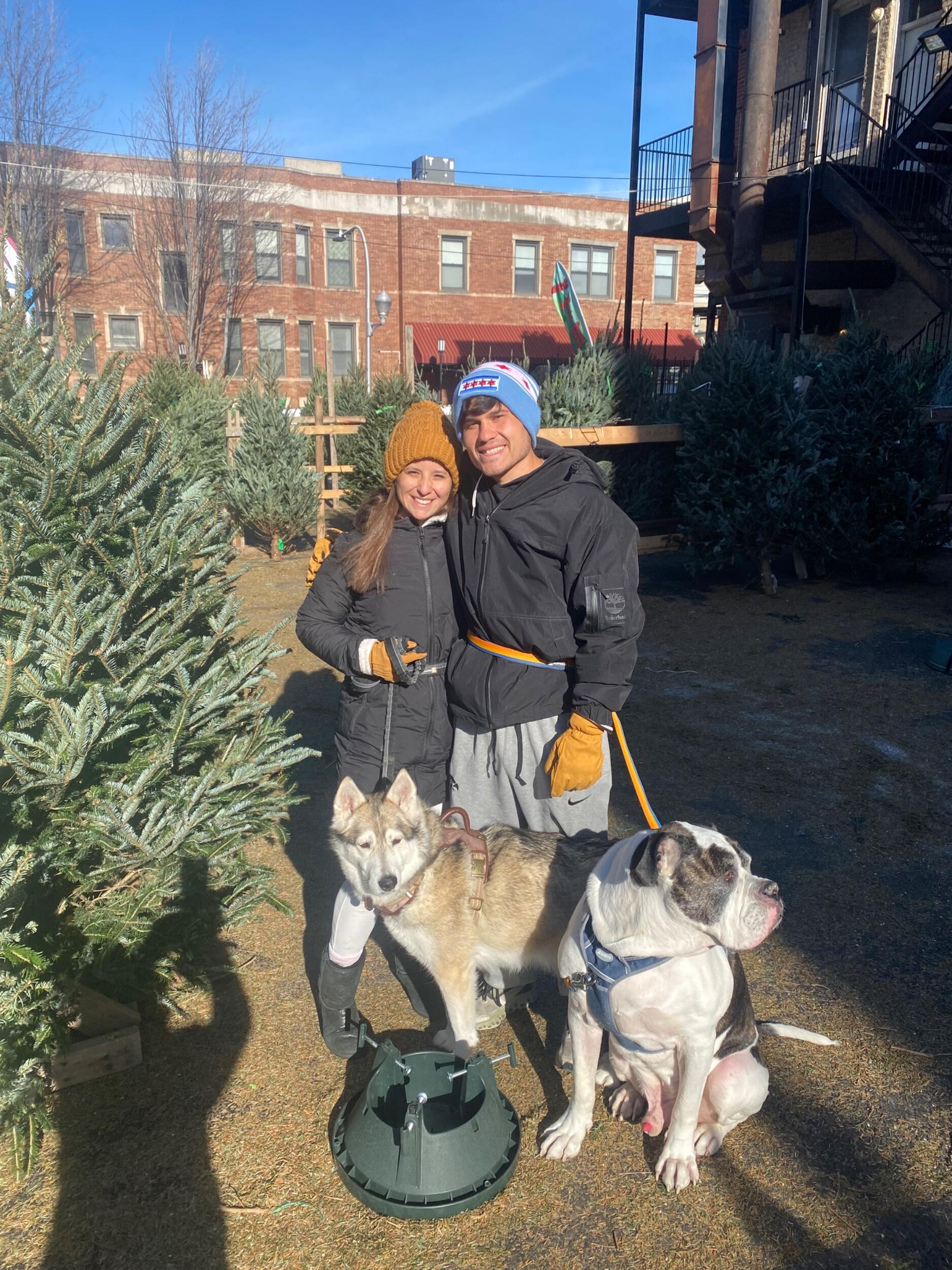 Our very first real Christmas tree together