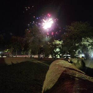 Gallery Photo 22