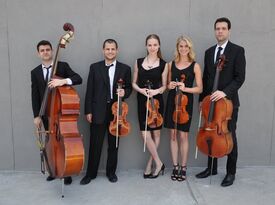 SPN Events - String Quartet - New York City, NY - Hero Gallery 2