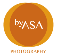 Vendor Logo