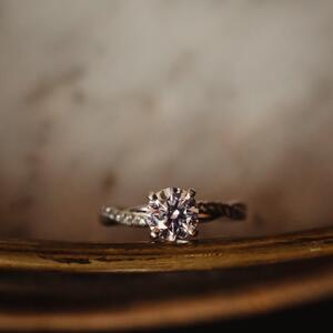 Gallery Photo 34