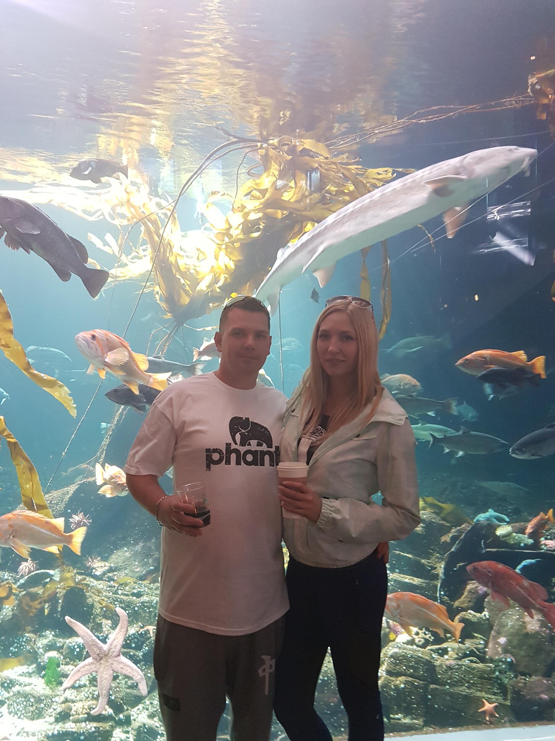 Traveled to Toronto, Visited the Ripley's Aquarium