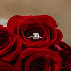 Gallery Photo 19
