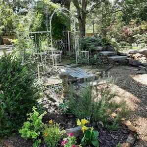 Gallery Photo 7