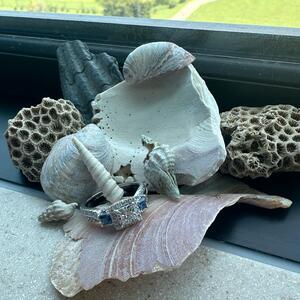 Gallery Photo 11