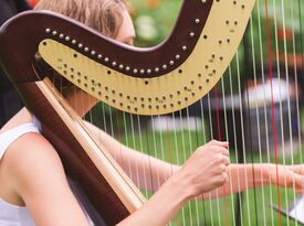 Naomi Hoffmeyer, harpist - Harpist - Duluth, MN - Hero Gallery 1